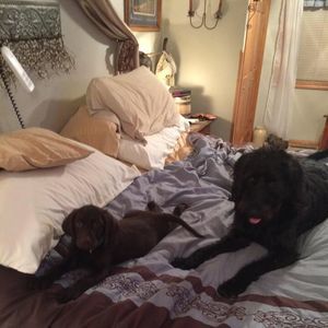 Meet your Posher, Alex